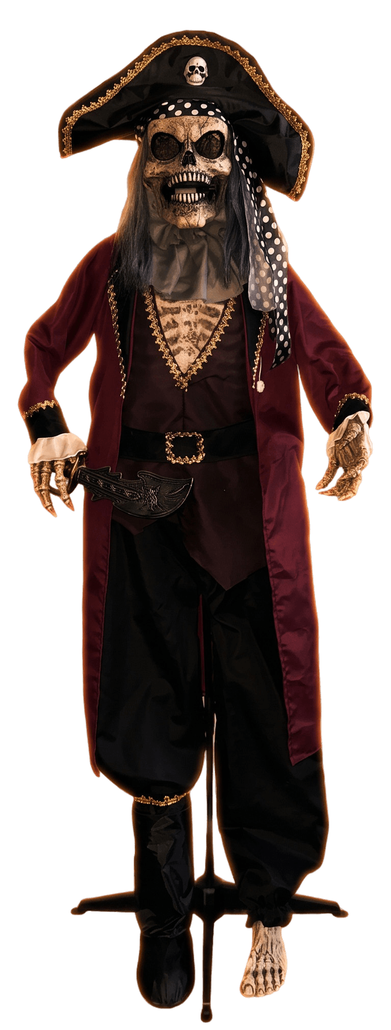 Evil Pirate